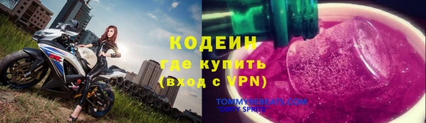 прущие грибы Алзамай