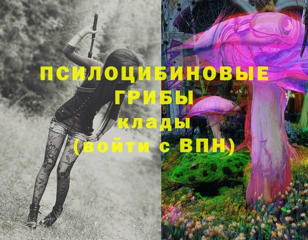 прущие грибы Алзамай