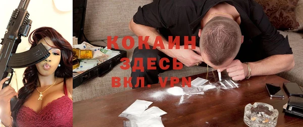 прущие грибы Алзамай