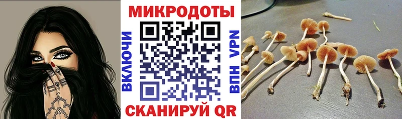 где продают наркотики  Талдом  Псилоцибиновые грибы прущие грибы 